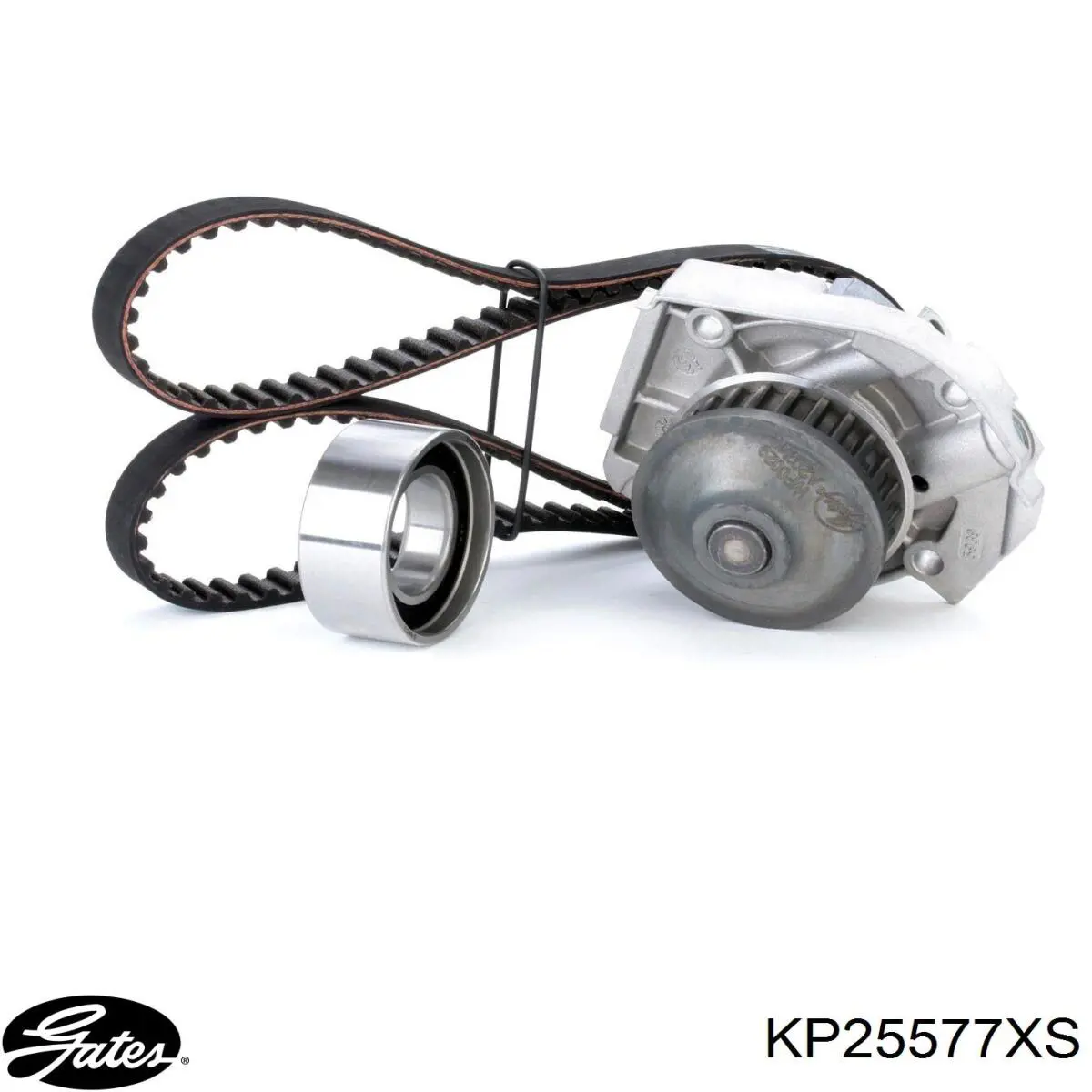 KP25577XS Gates kit correa de distribución