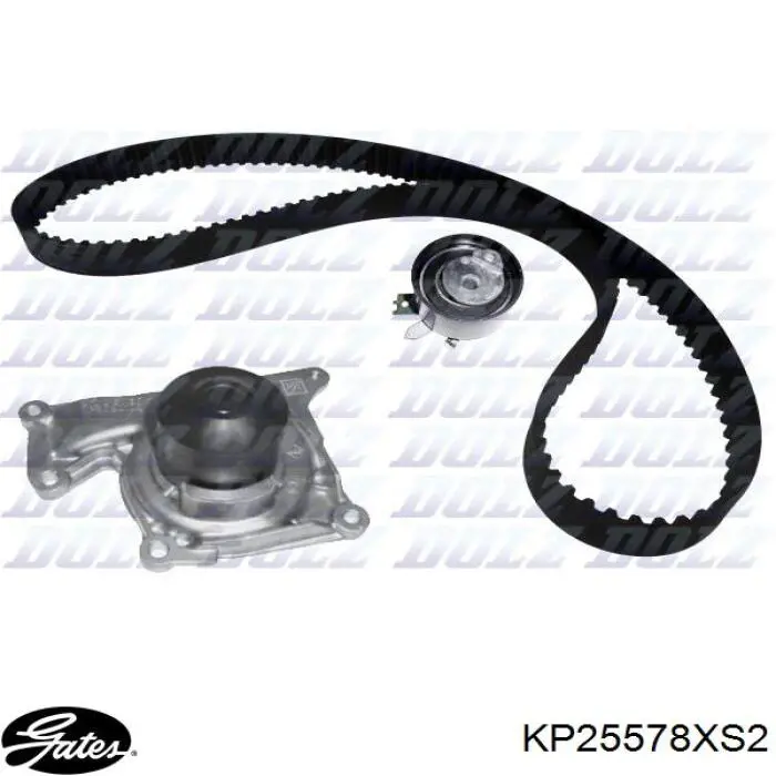 WTBK5066.00 Open Parts kit correa de distribución