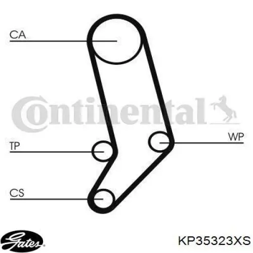 KP35323XS Gates kit correa de distribución