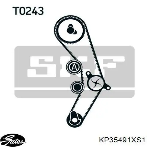 KP35491XS-1 Gates kit correa de distribución