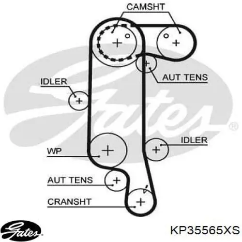 03610911AG VAG kit correa de distribución