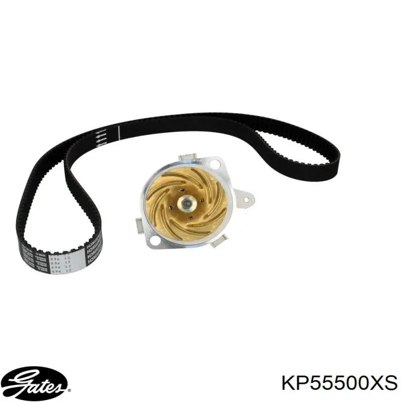 KP55500XS Gates kit correa de distribución