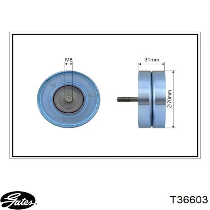 12605492 Peugeot/Citroen rodillo, correa trapecial poli v