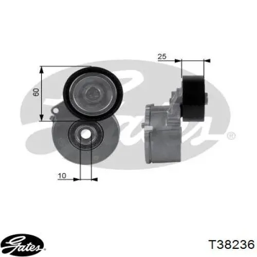  Tensor de correa, correa poli V para Citroen Berlingo M