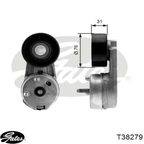  Tensor de correa, correa poli V para Land Rover Range Rover 3 