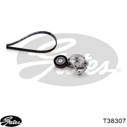 YM216K254EA Ford tensor de correa, correa poli v