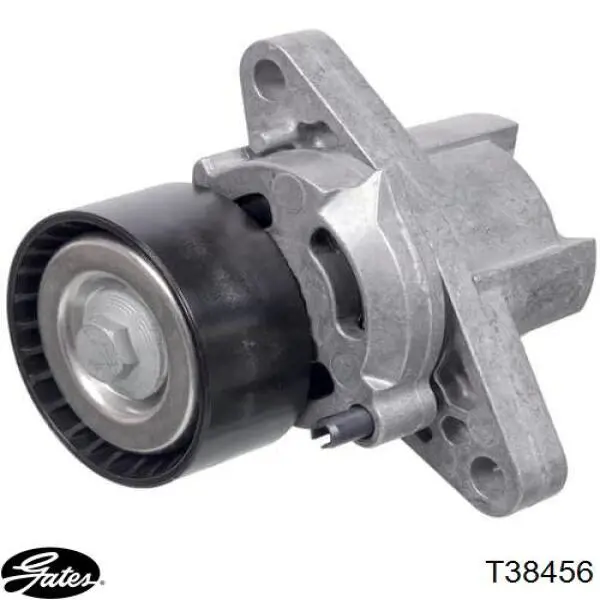  Tensor de correa, correa poli V para Renault Scenic 1 