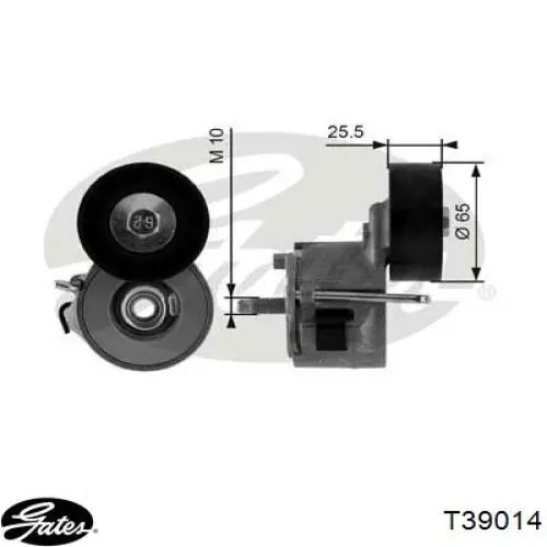 512 0021 Autotechteile tensor de correa, correa poli v