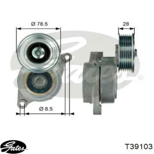 V402871 Sato Tech tensor de correa, correa poli v