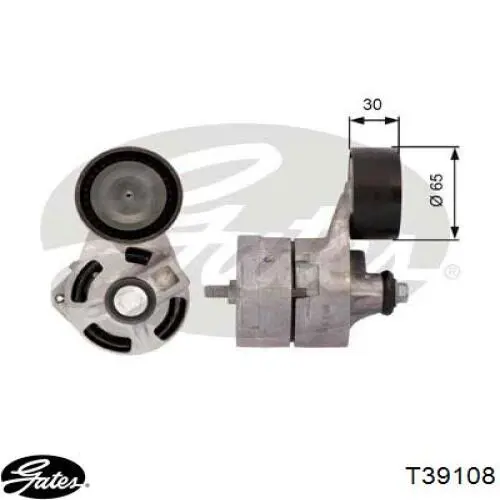 YP9500081 A.b.a. tensor de correa, correa poli v