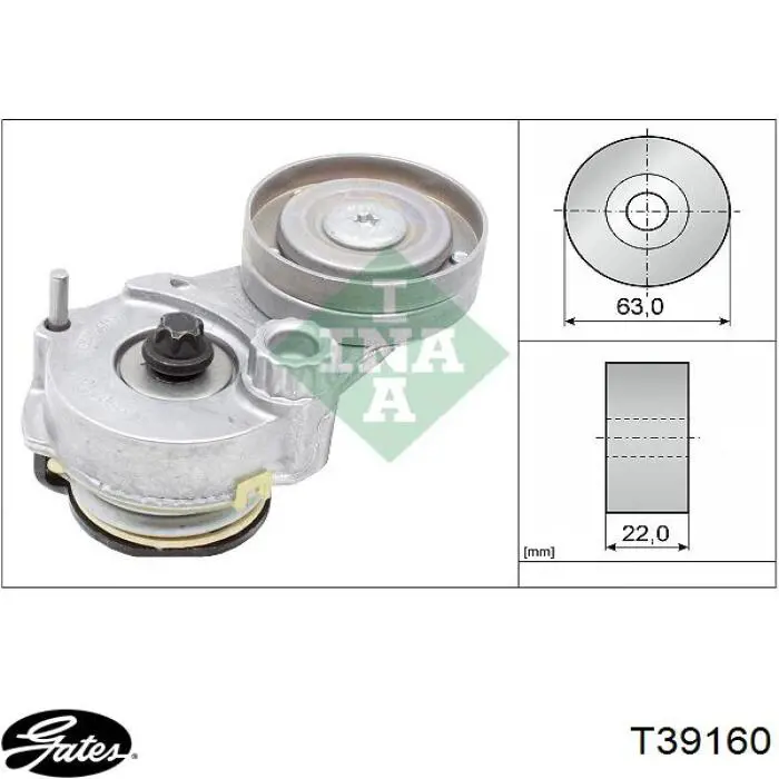 T39160 Gates tensor de correa, correa poli v