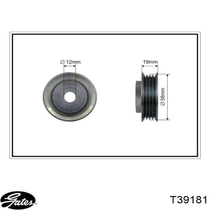  Rodillo, correa trapecial poli V para Suzuki SX4 GY