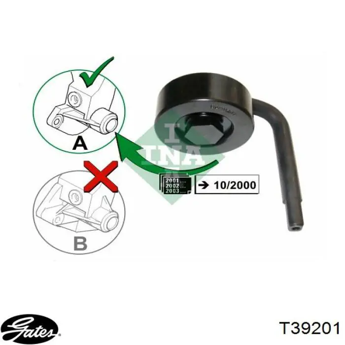 64552248563 BMW rodillo, correa trapecial poli v