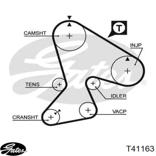  Rodillo, cadena de distribución para Renault 25 B29