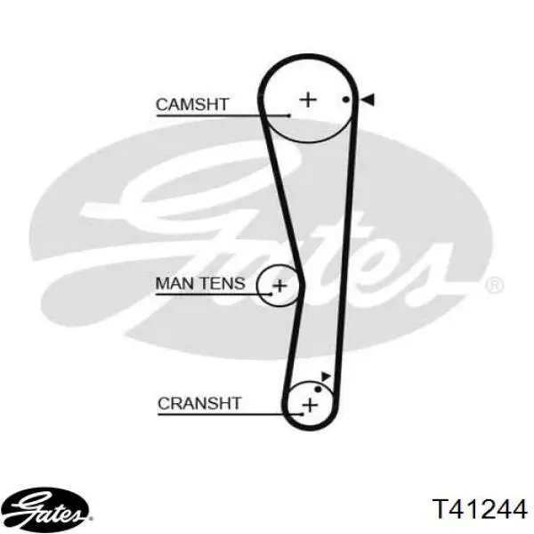 T41244 Gates rodillo, cadena de distribución