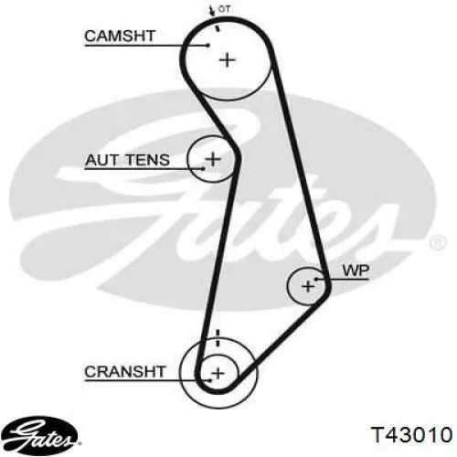  Tensor, correa dentada para Seat Ibiza 4 