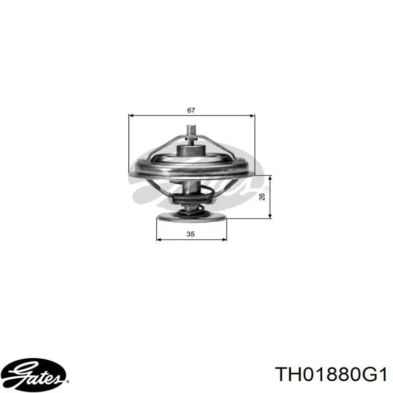 TH01880G1 Gates termostato, refrigerante