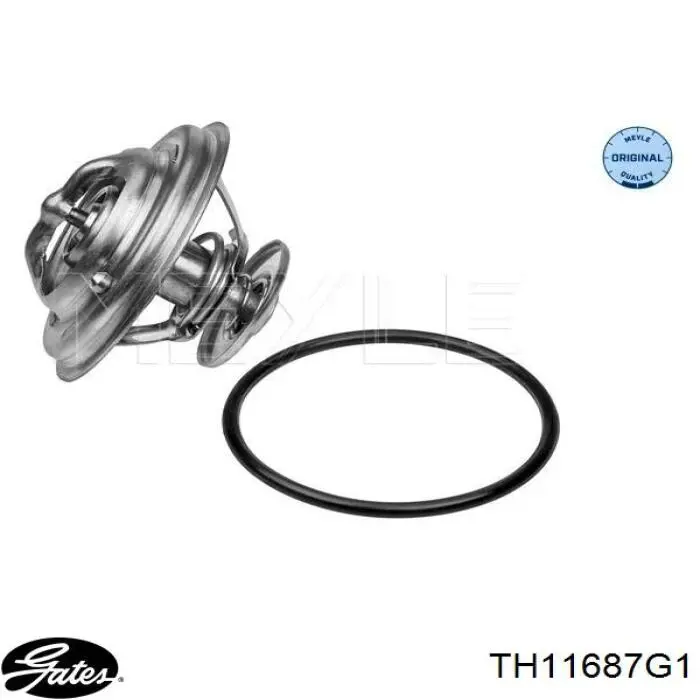 TH11687G1 Gates termostato, refrigerante