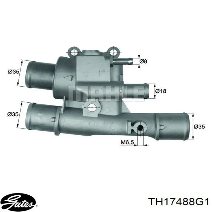  Termostato, refrigerante para Fiat Multipla 186