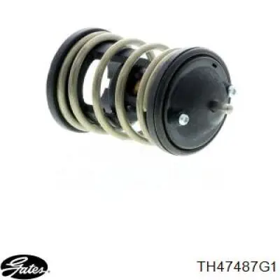  Termostato, refrigerante para MINI Clubman R55