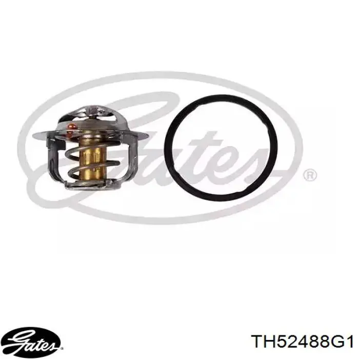 TH52488G1 Gates termostato, refrigerante