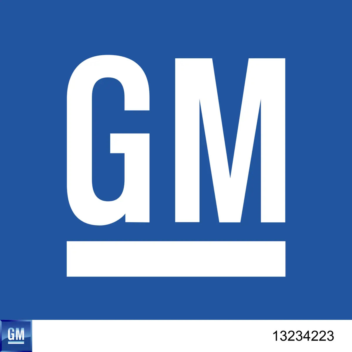 13234223 General Motors 