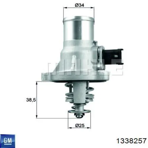 1338257 General Motors termostato, refrigerante