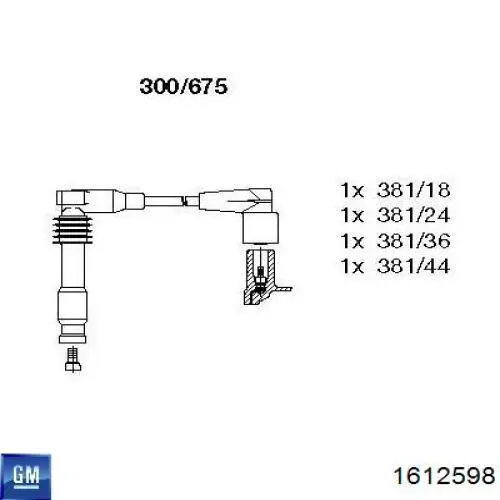 1612598 General Motors juego de cables de encendido