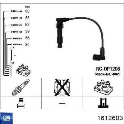 1612603 General Motors juego de cables de encendido