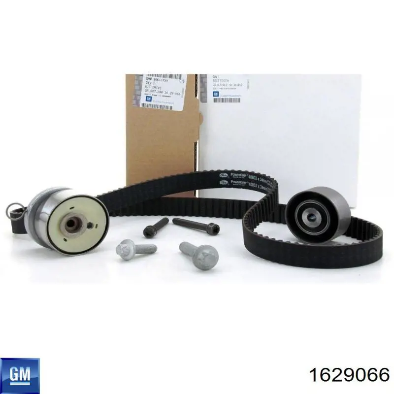 1629066 General Motors kit correa de distribución