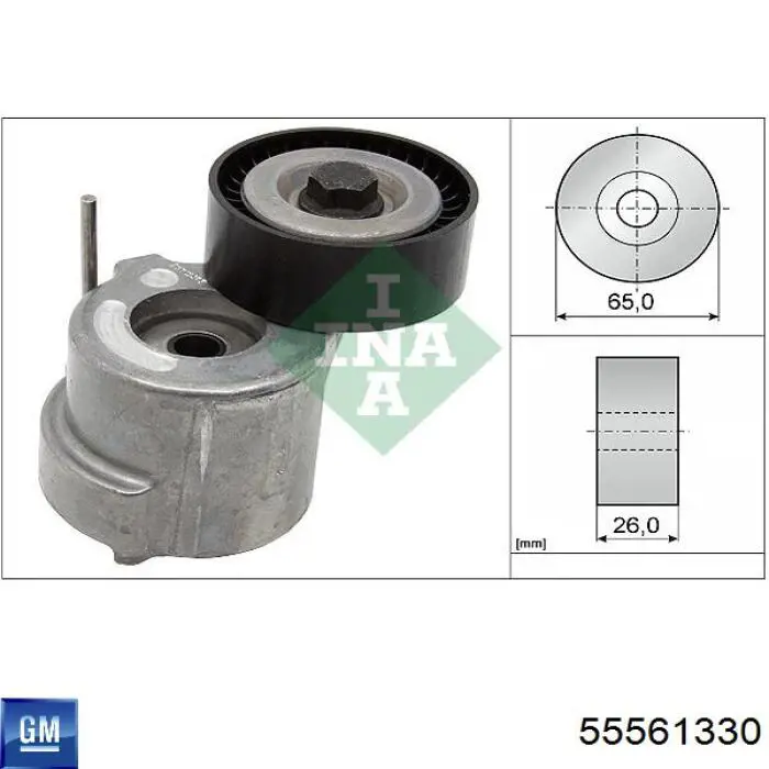 55561330 General Motors tensor de correa, correa poli v