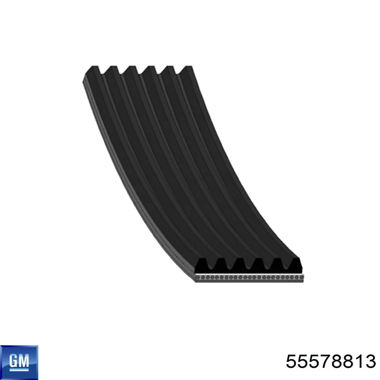 55578813 General Motors correa trapezoidal