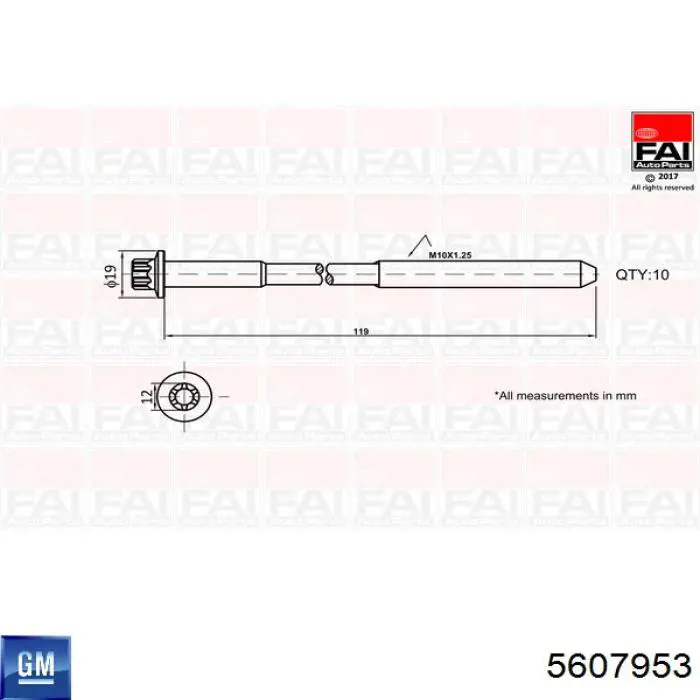 5607953 General Motors tornillo de culata