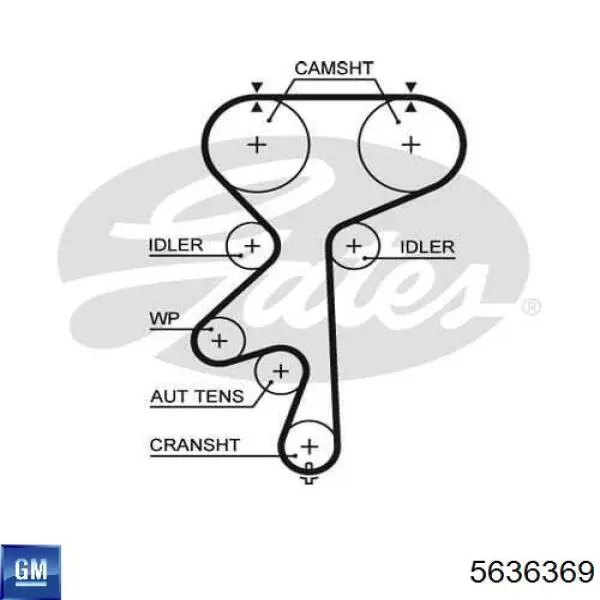 5636369 General Motors correa distribucion