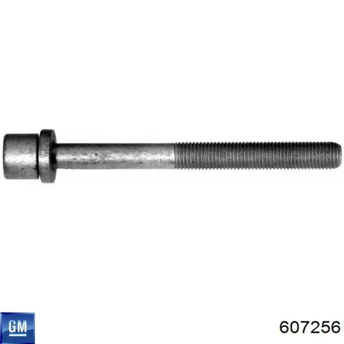 607256 General Motors tornillo de culata