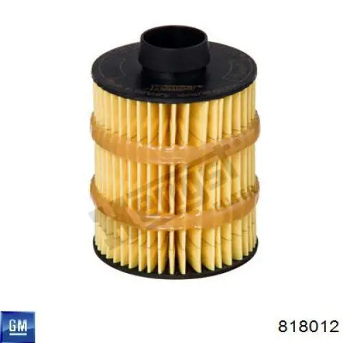 8180.12 General Motors filtro combustible