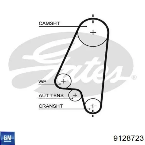 9128723 General Motors correa distribucion