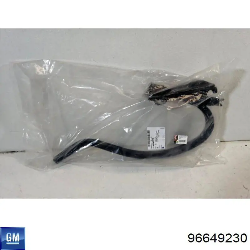  Conjunto de bisagra, puerta del maletero para Chevrolet Aveo T250, T255