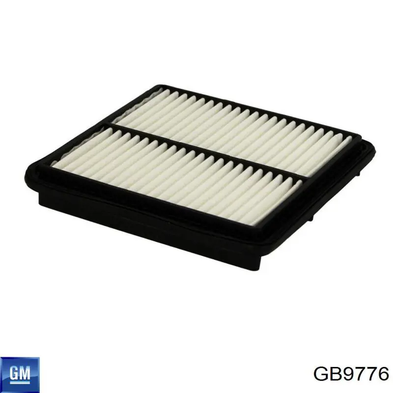 GB9776 General Motors filtro de aire