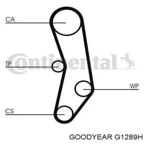 G1289H Goodyear correa distribucion