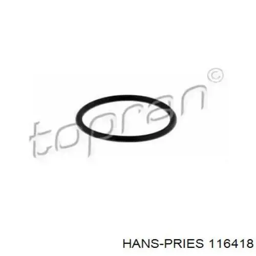  Juntas De La Carcasa De El Termostato para Volkswagen Golf 5M1