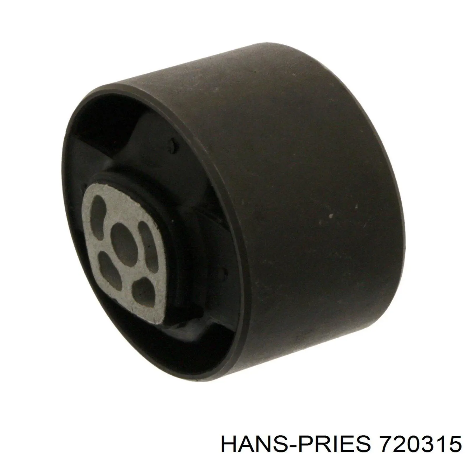 720315 Hans Pries (Topran) soporte, motor, trasero, silentblock