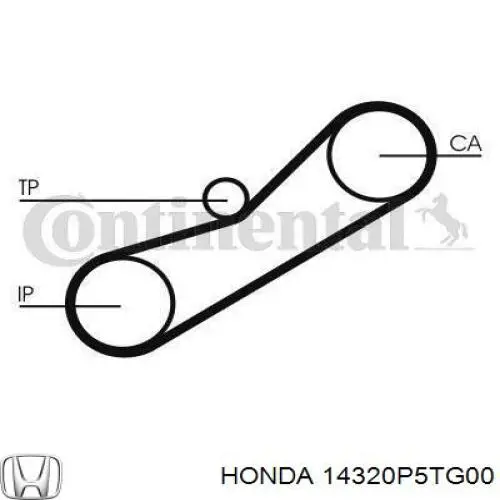  Correa, bomba de alta presión para Honda Accord 5 