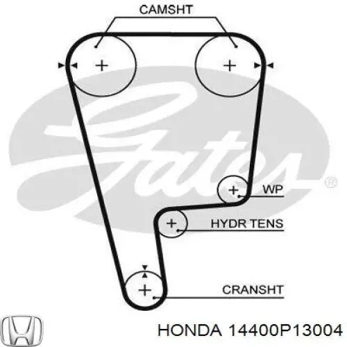 14400P13004 Honda correa distribucion