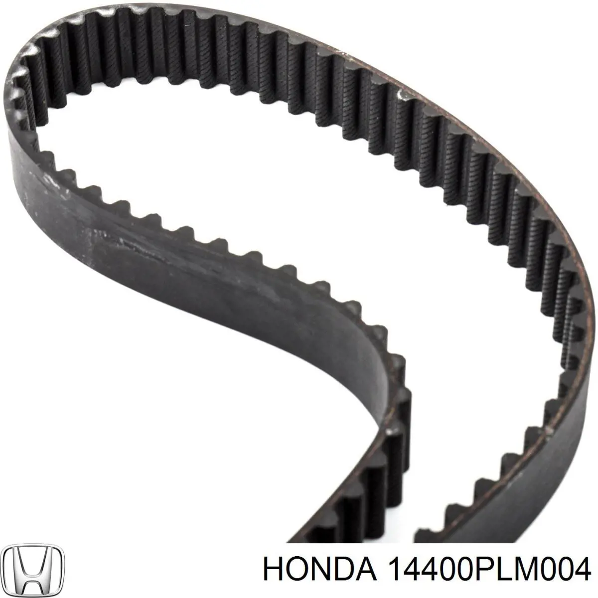 14400PLM004 Honda correa distribucion