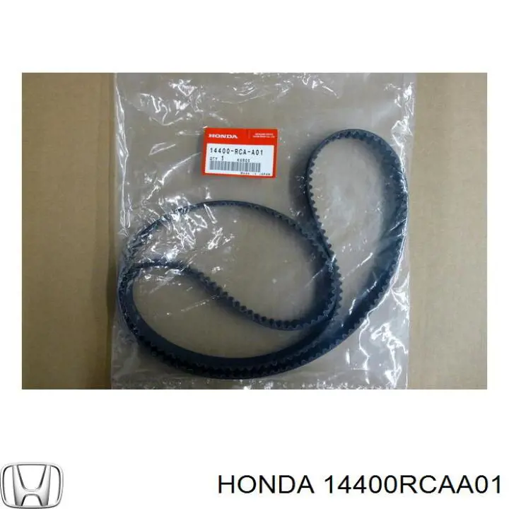 14400RCAA01 Honda correa distribucion