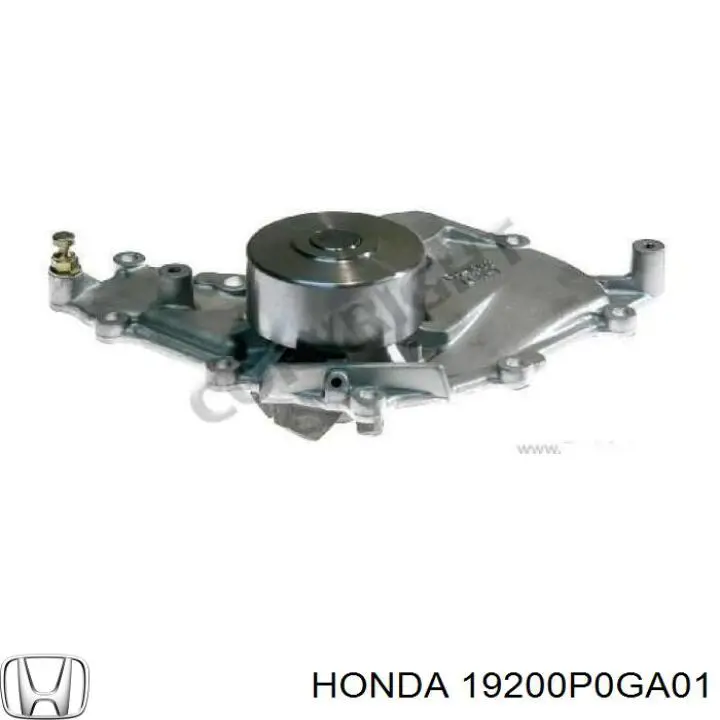 19200P0GA01 Honda bomba de agua