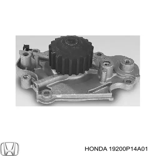 19200P14A01 Honda bomba de agua