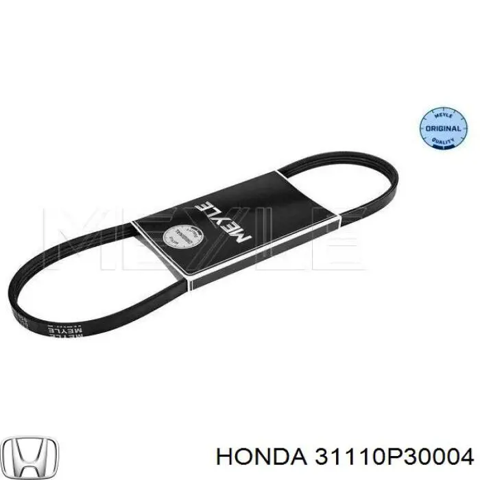 31110P30004 Honda correa trapezoidal