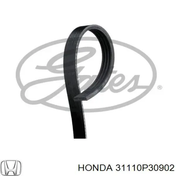 31110P30902 Honda correa trapezoidal